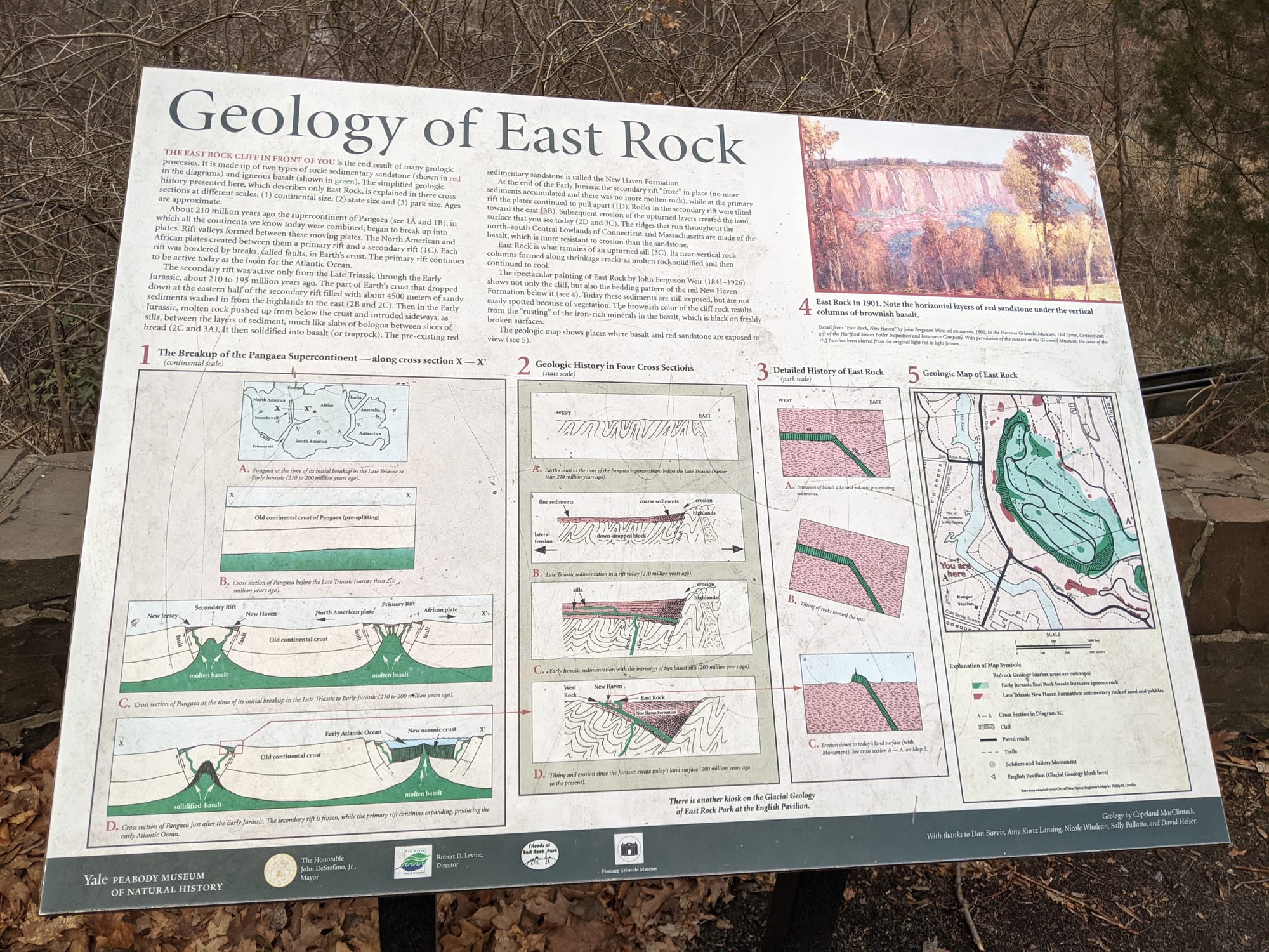 Geology of East Rock, photographed on the trail